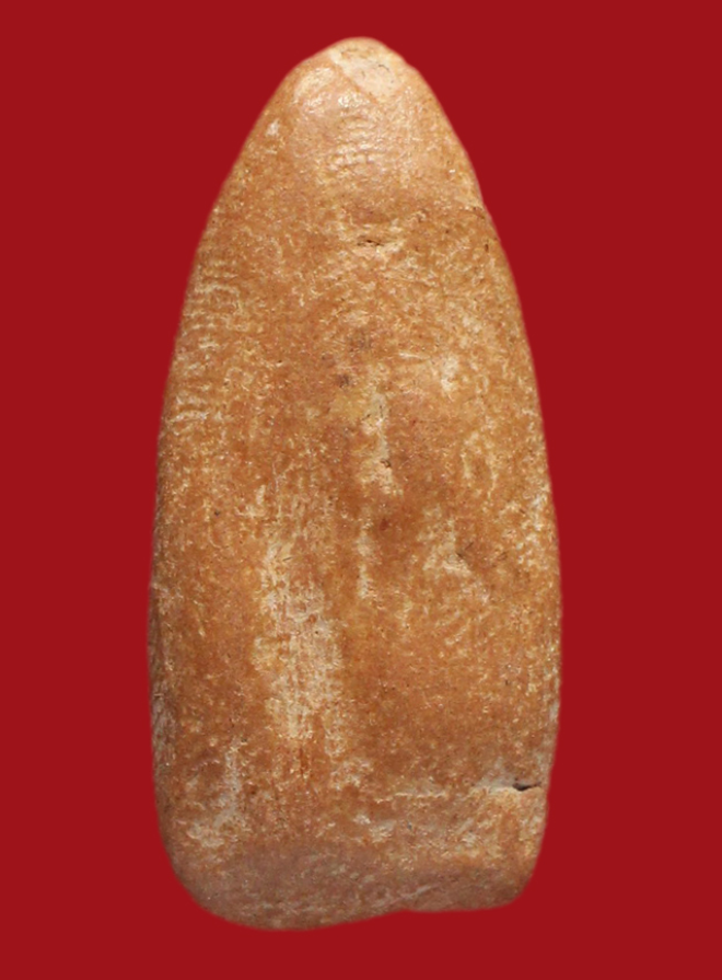 รูปที่อัปโหลด