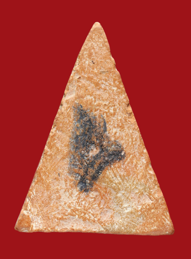 รูปที่อัปโหลด