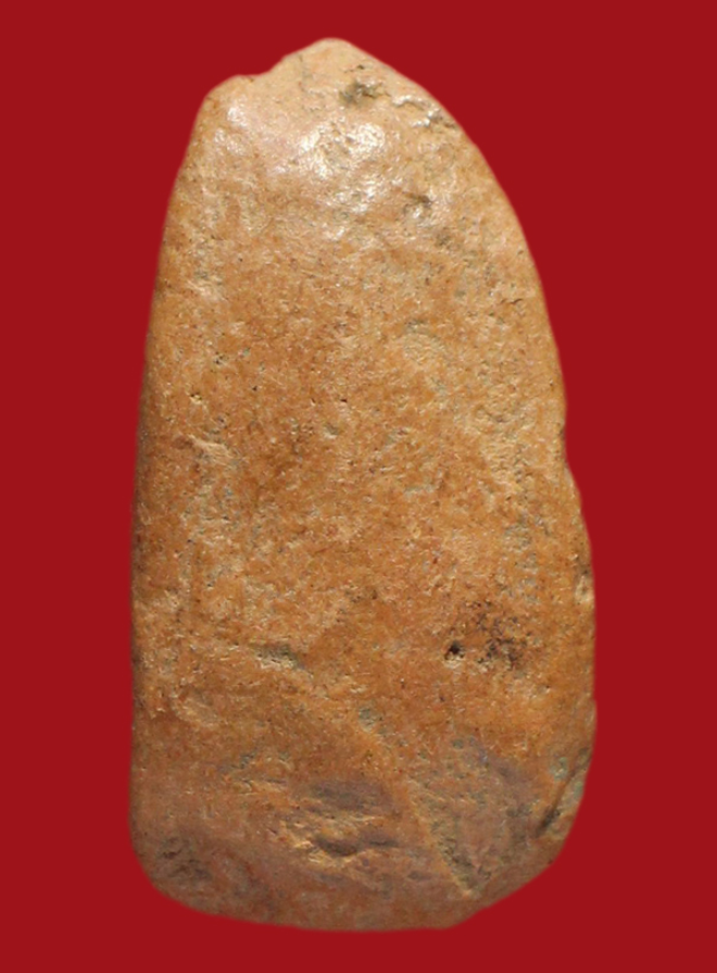 รูปที่อัปโหลด