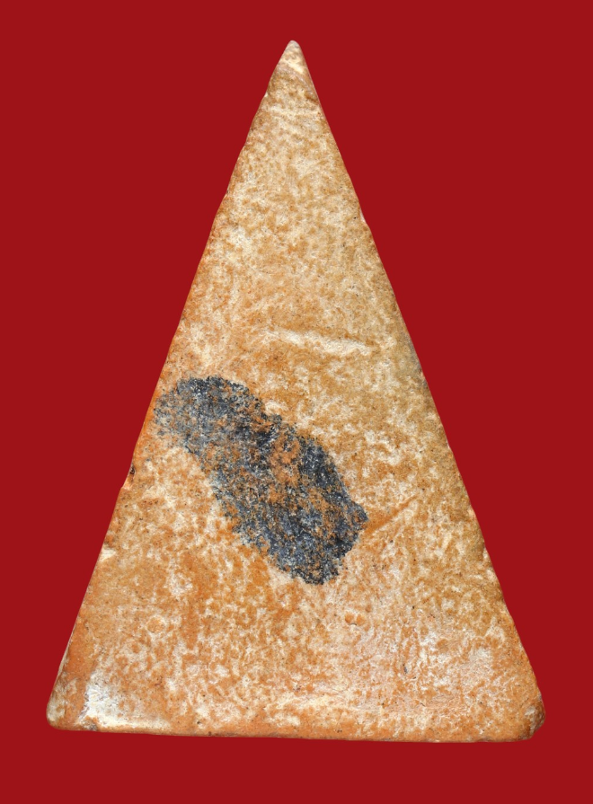 รูปที่อัปโหลด