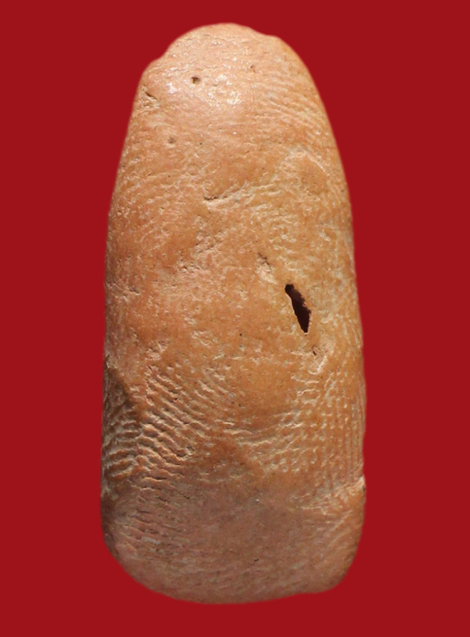 รูปที่อัปโหลด