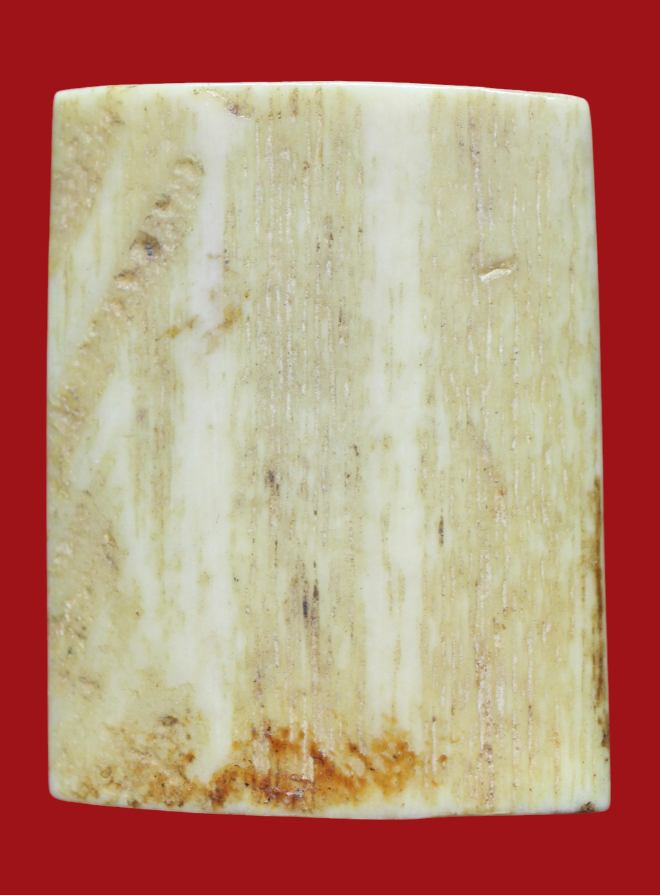 รูปที่อัปโหลด