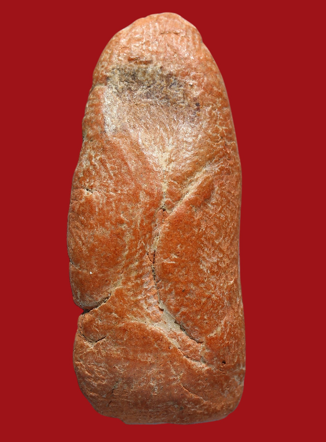 รูปที่อัปโหลด