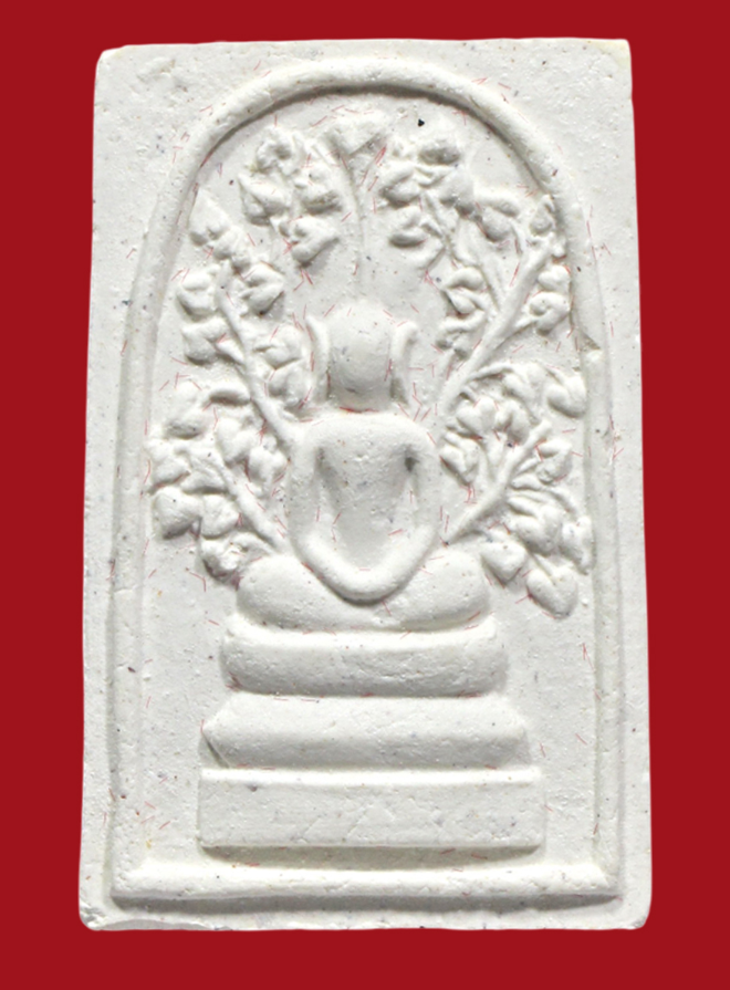 รูปที่อัปโหลด