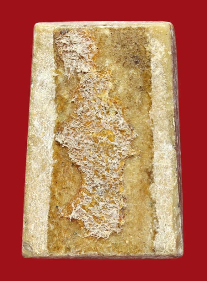 รูปที่อัปโหลด