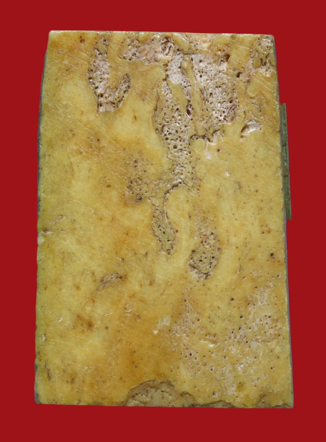 รูปที่อัปโหลด