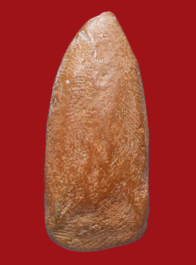 รูปที่อัปโหลด