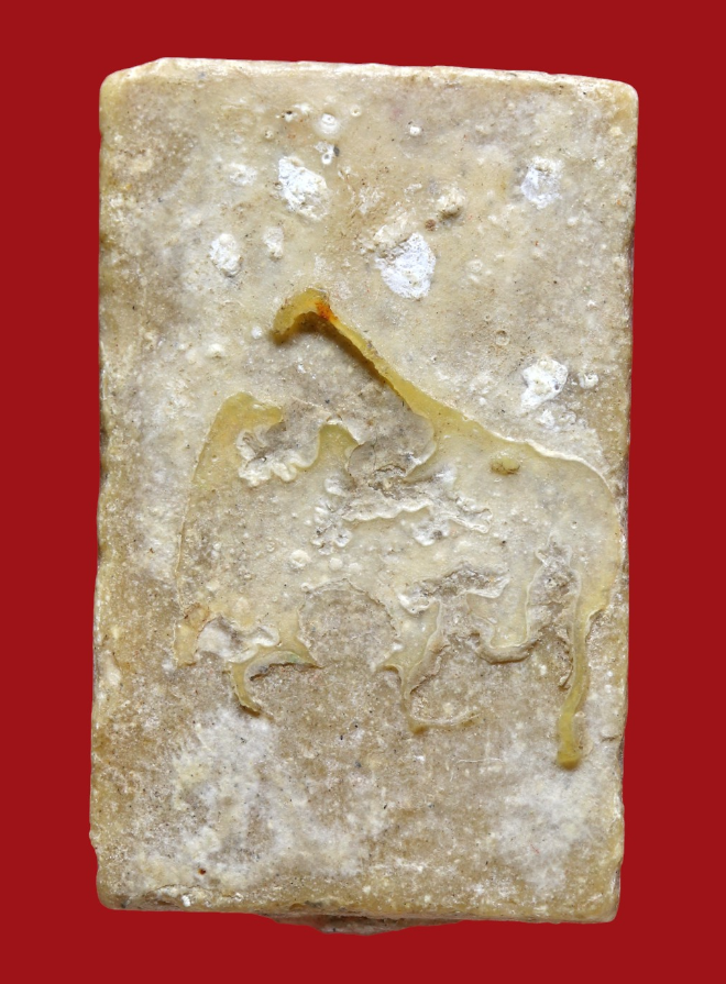 รูปที่อัปโหลด