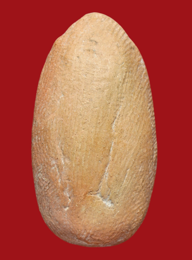 รูปที่อัปโหลด