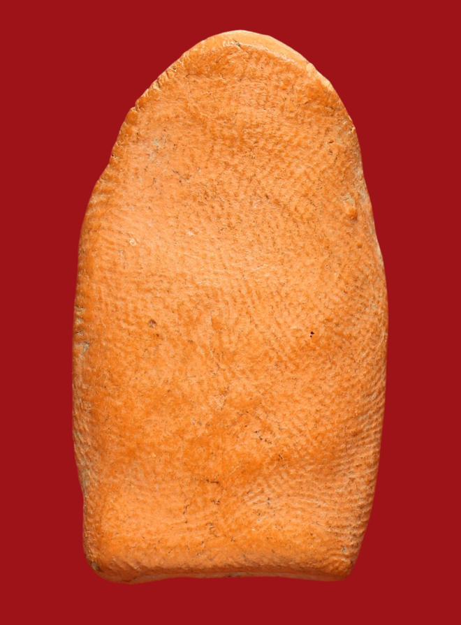 รูปที่อัปโหลด