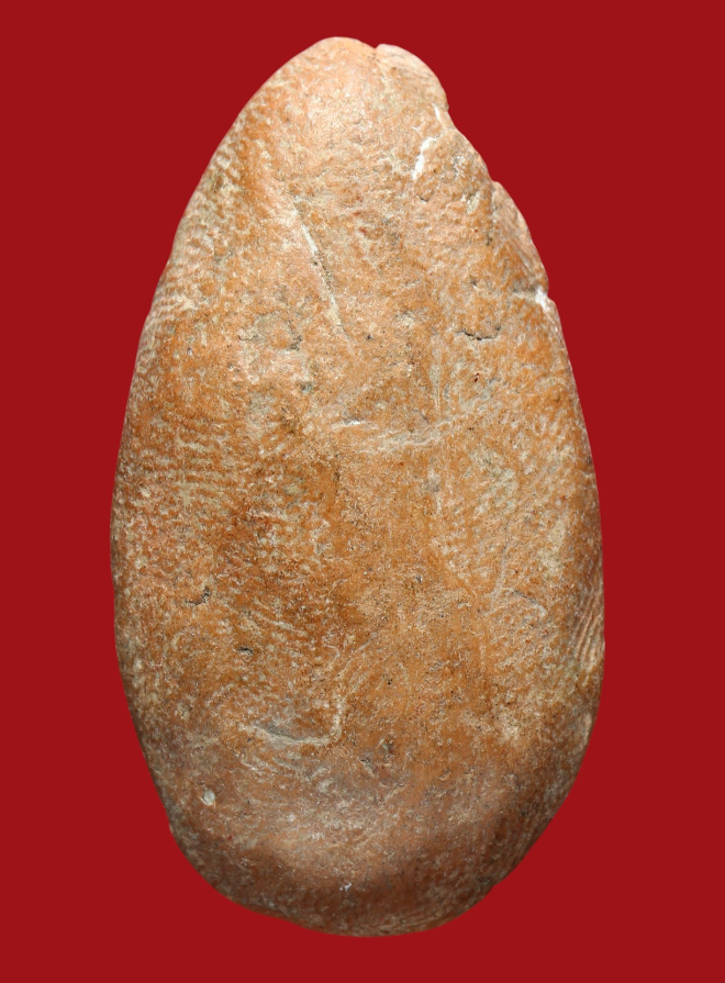 รูปที่อัปโหลด