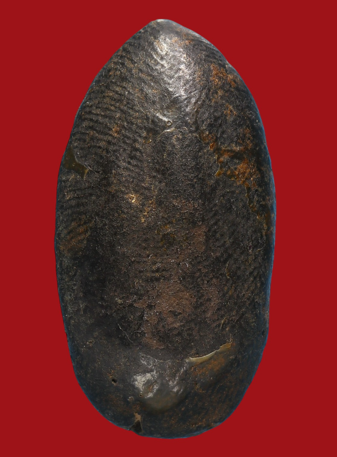 รูปที่อัปโหลด