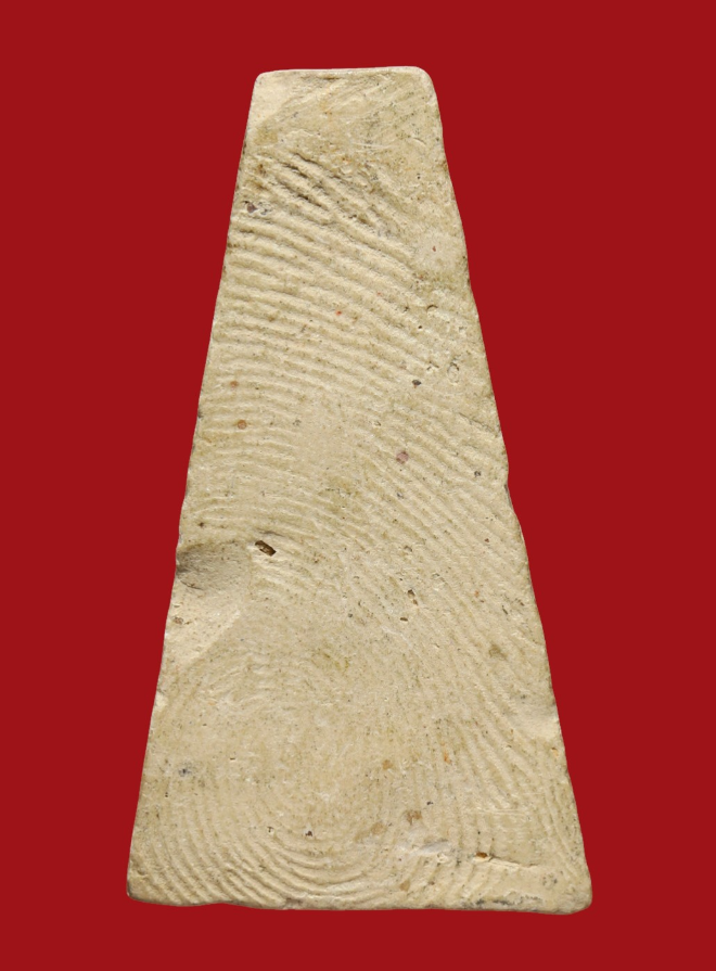 รูปที่อัปโหลด