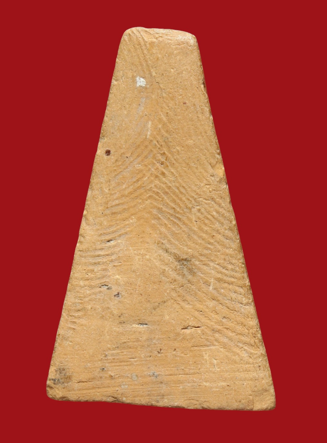 รูปที่อัปโหลด