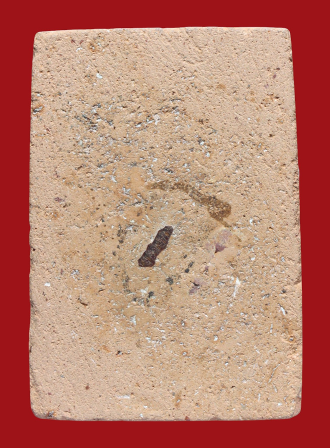 รูปที่อัปโหลด