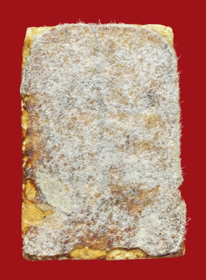 รูปที่อัปโหลด