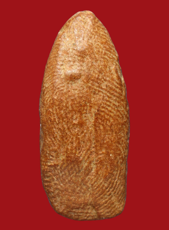 รูปที่อัปโหลด