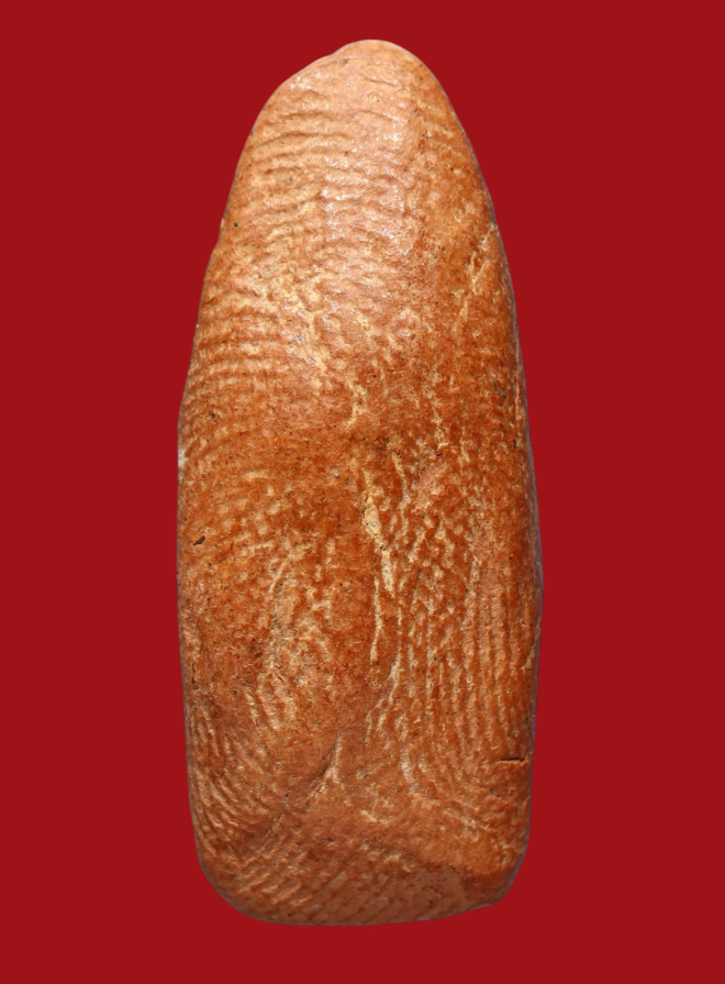 รูปที่อัปโหลด