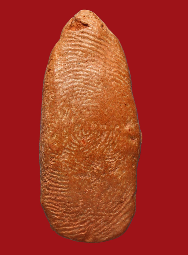 รูปที่อัปโหลด